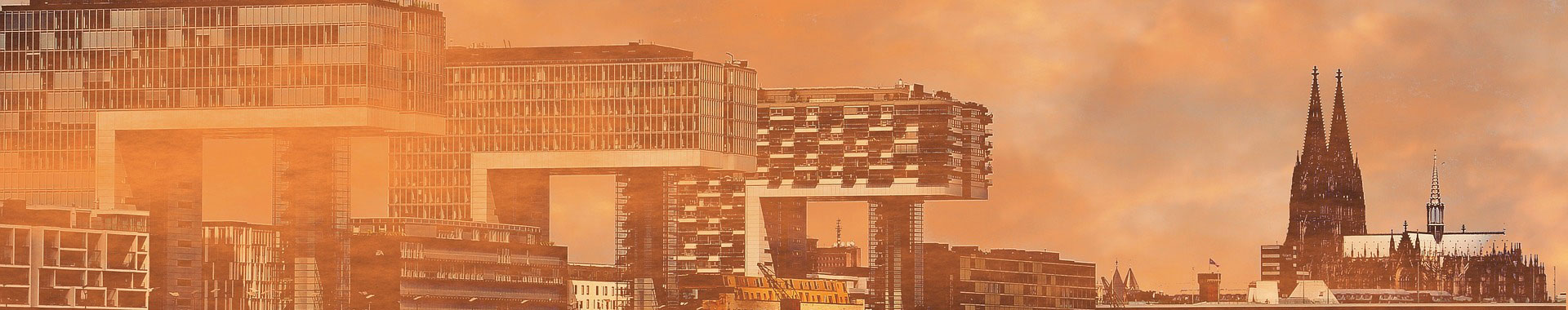 黑龙江经典案例